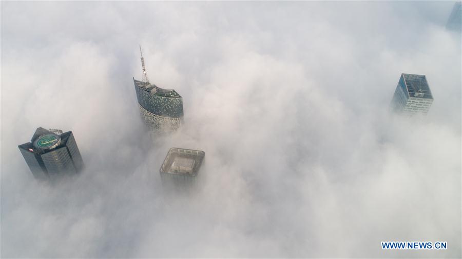 CHINA-HEFEI-FOG (CN)