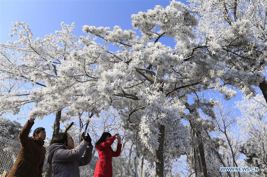 #CHINA-JINAN-RIME SCENERY (CN)