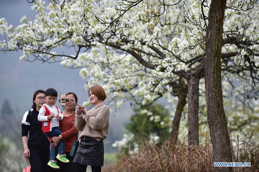 CHINA-SICHUAN-SPRING VIEWS (CN)