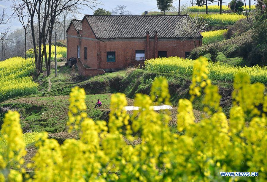 CHINA-SHAANXI-SPRING SCENERY (CN)