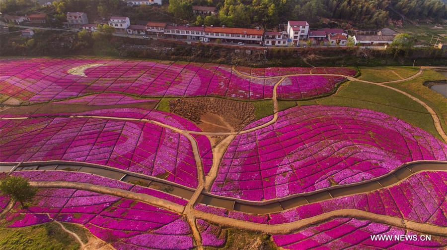 CHINA-ANHUI-HUOSHAN-SPRING SCENERY (CN)