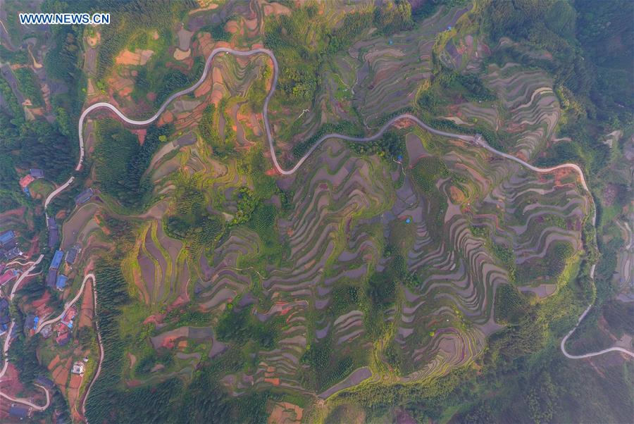 CHINA-GUANGXI-RONGSHUI-TERRACED FIELDS (CN)