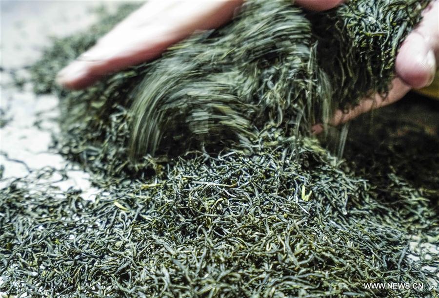 #CHINA-HUBEI-ENSHI YULU TEA (CN)