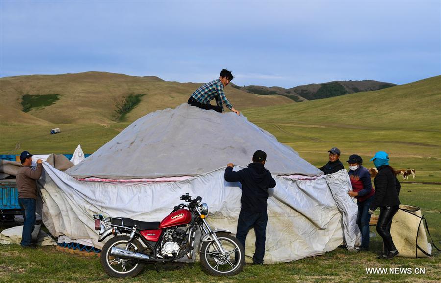 CHINA-INNER MONGOLIA-LIVESTOCK TRANSFER-SUMMER PASTURE (CN)