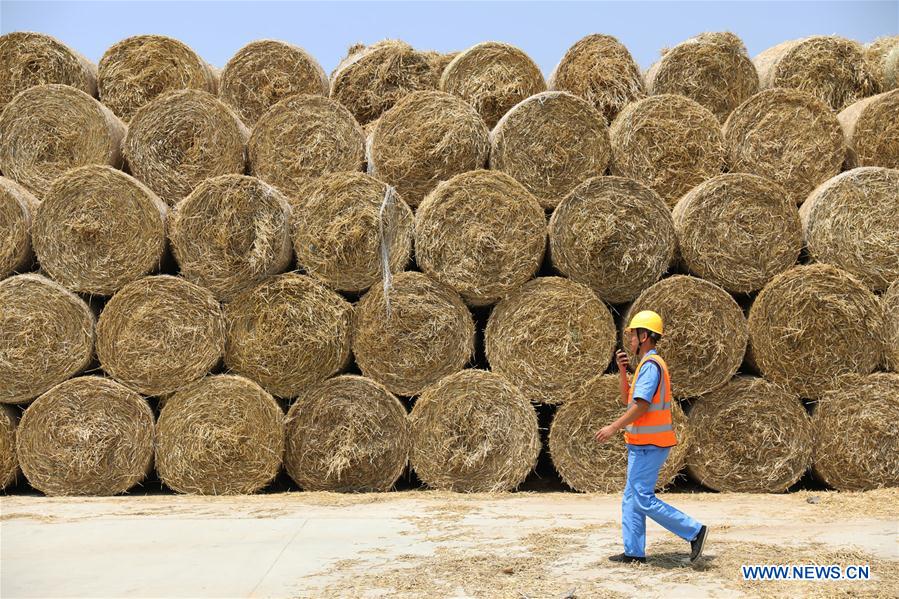 #CHINA-HEBEI-SHIJIAZHUANG-STRAW (CN)