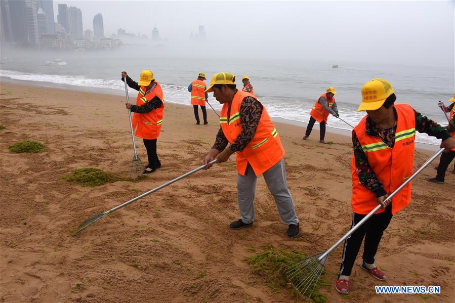 CHINA-QINGDAO-ENTEROMORPHA-CLEAN (CN)