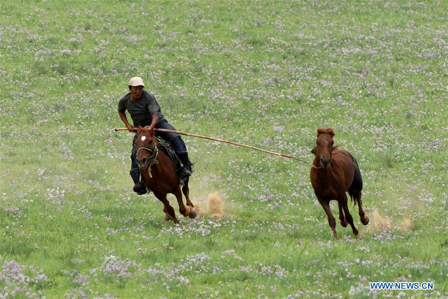 #CHINA-INNER MONGOLIA-TRADITIONAL ACTIVITY (CN)