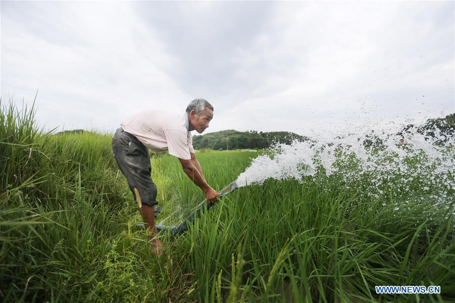 CHINA-JIANGXI-FUZHOU-DROUGHT (CN)