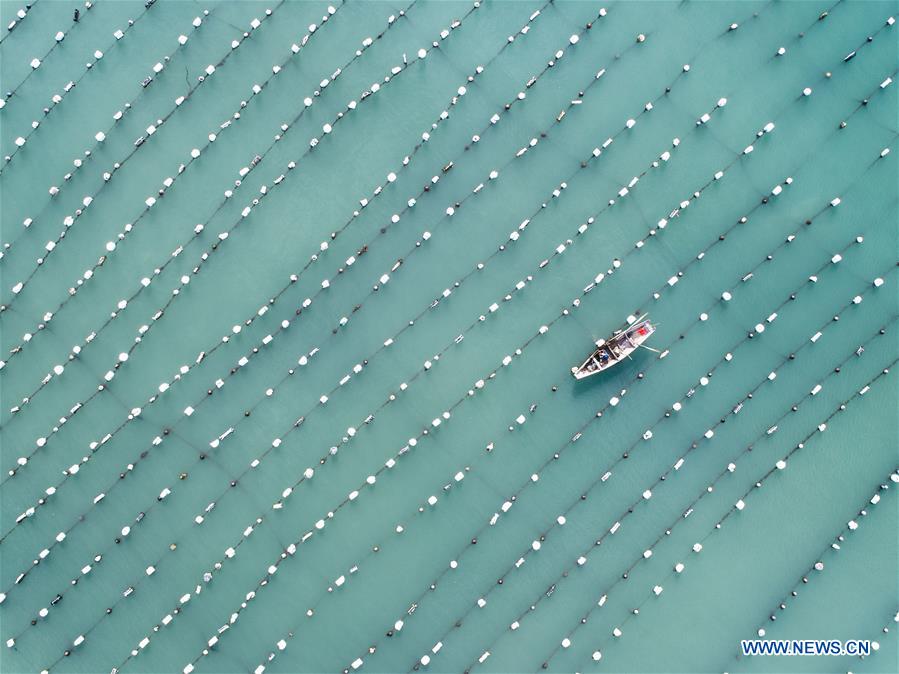 CHINA-ZHEJIANG-WENZHOU-MARICULTURE (CN)