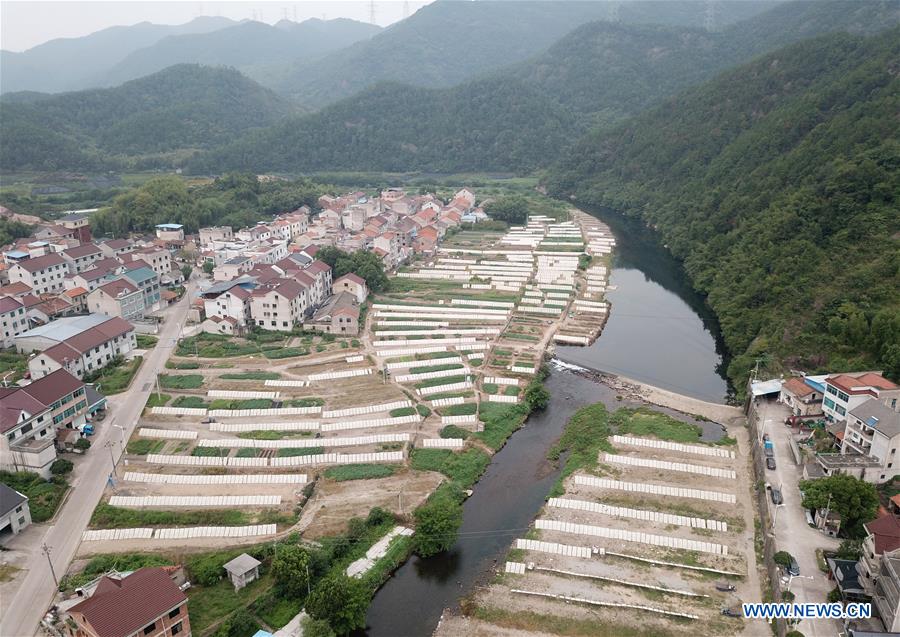 CHINA-ZHEJIANG-VILLAGE-NOODLE (CN)