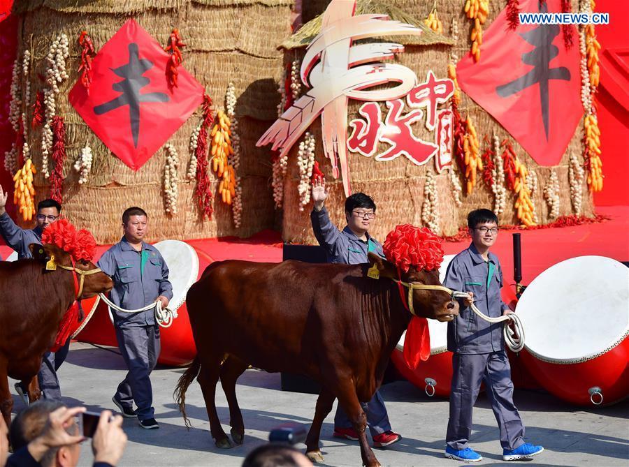 CHINA-SHAANXI-YANGLING-HARVEST-FESTIVAL (CN)