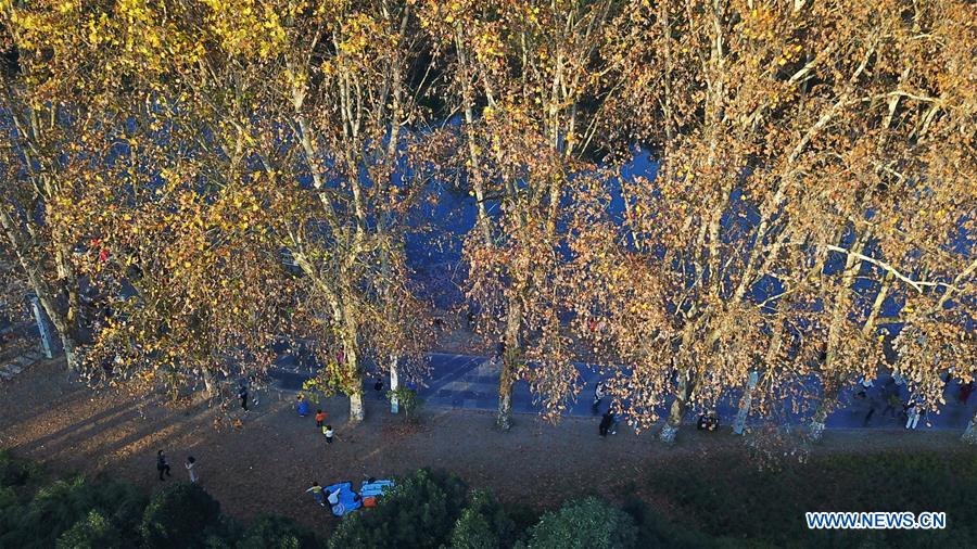 CHINA-GUIZHOU-GUIYANG-WETLAND PARK-AUTUMN SCENERY (CN)