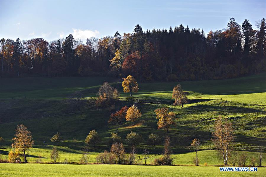 SWITZERLAND-ZURICH-AUTUMN