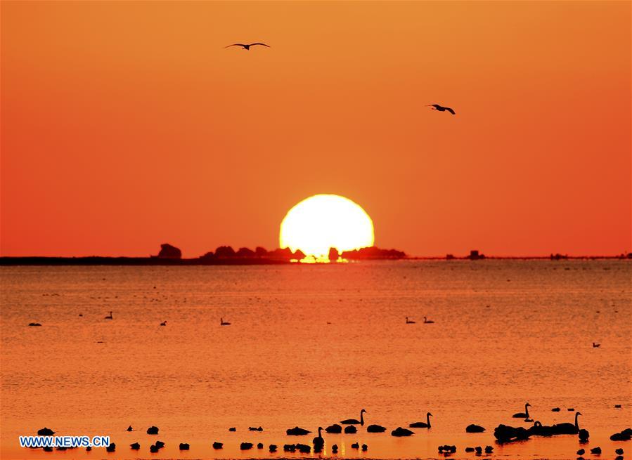 #CHINA-SHANDONG-RONGCHENG-SWAN LAKE (CN) 