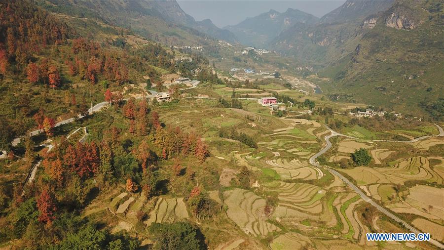 CHINA-GUIZHOU-WINTER SCENERY (CN)