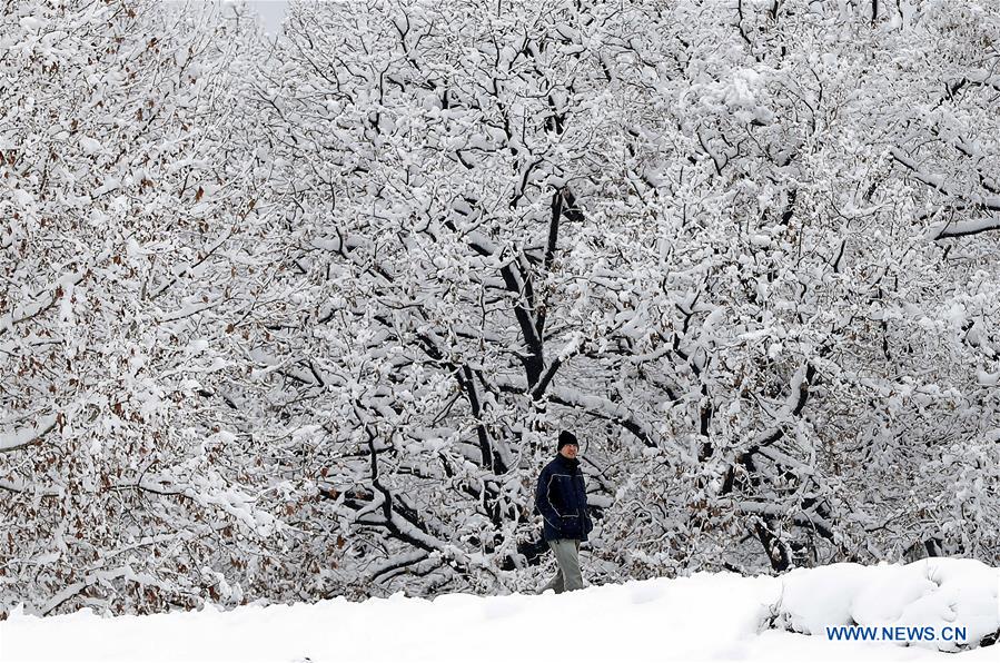 SERBIA-BELGRADE-WEATHER-SNOW