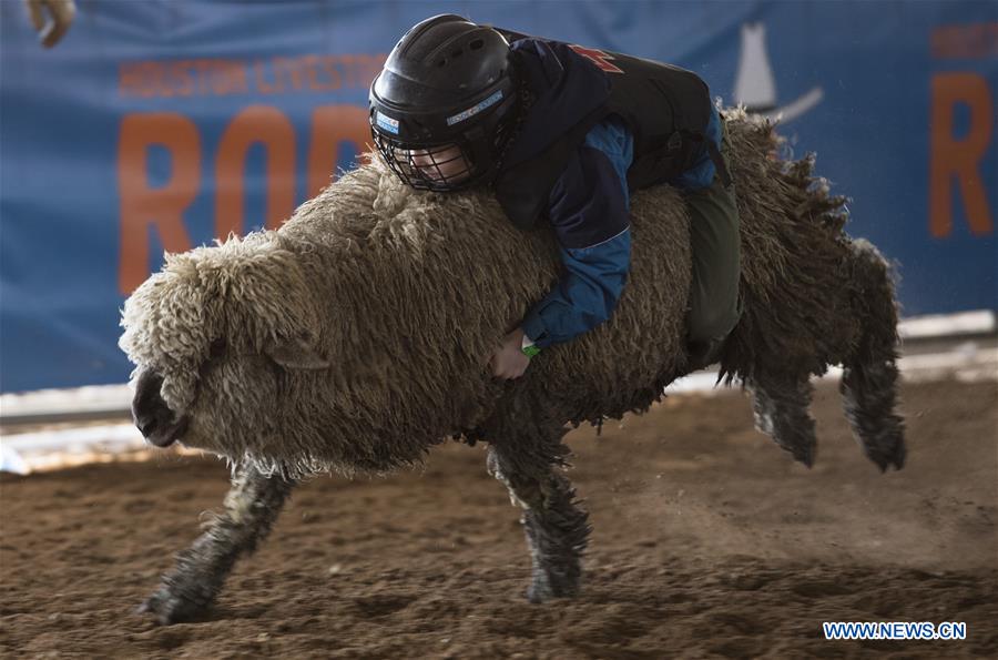 U.S.-HOUSTON-LIVESTOCK SHOW AND RODEO-SHEEP RIDING CONTEST