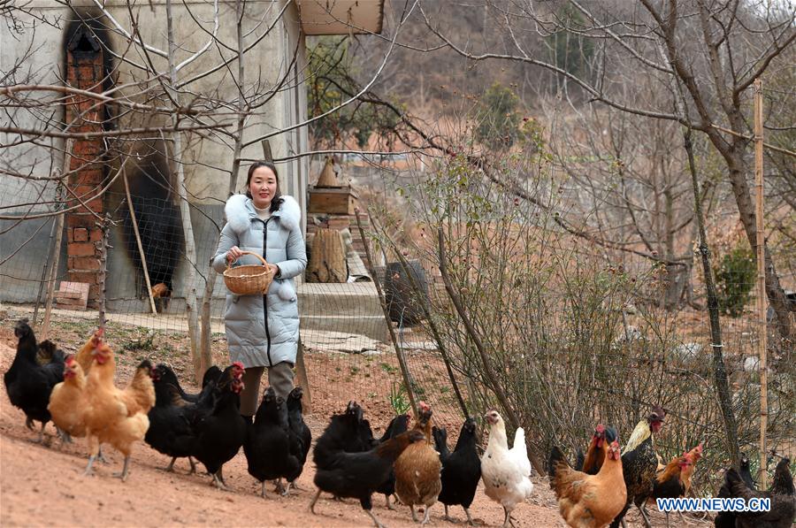 (TWO SESSIONS)CHINA-GANSU-NPC-DEPUTY-RURAL E-COMMERCE (CN)