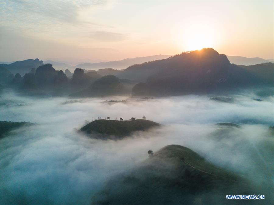 CHINA-FUJIAN-WUYI MOUNTAIN-SCENERY (CN)