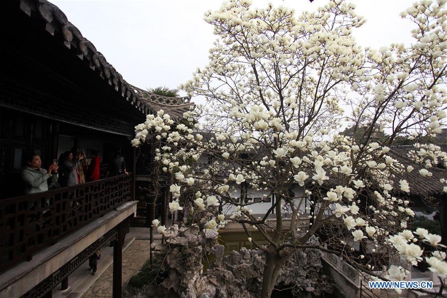 #CHINA-SPRING-FLOWERS (CN)