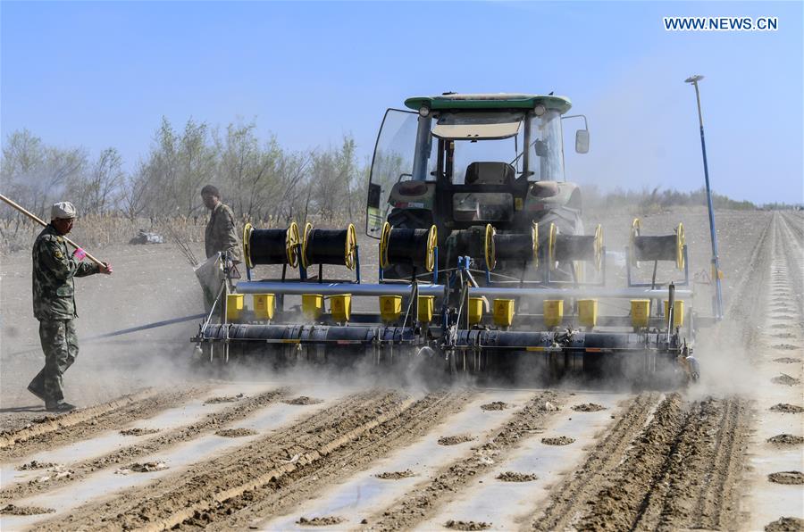 CHINA-XINJIANG-SPRING-FARMING (CN)