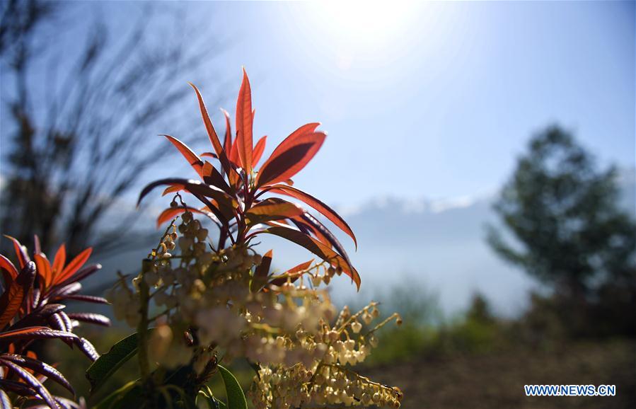 CHINA-TIBET-GYIRONG-SCENERY (CN)