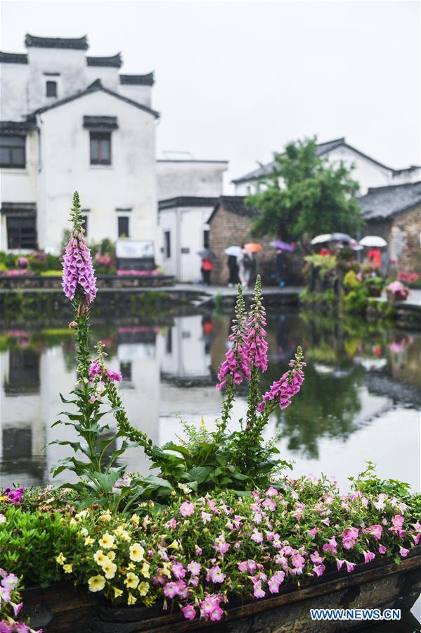 CHINA-ZHEJIANG-HANGZHOU-ANCIENT TOWN-FLOWER EXHIBITION (CN)