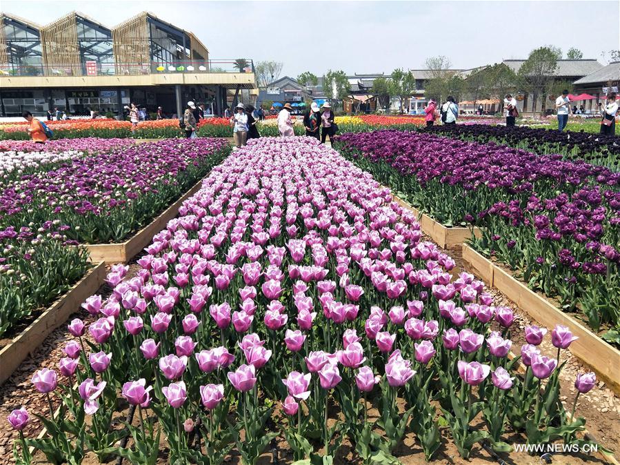 (BeijingCandid)CHINA-BEIJING-HORTICULTURAL EXPO-FLOWERS (CN)