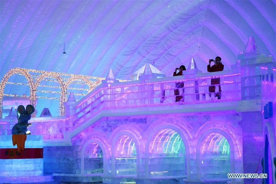 CHINA-HEILONGJIANG-HARBIN-ICE-SNOW THEME PARK (CN)