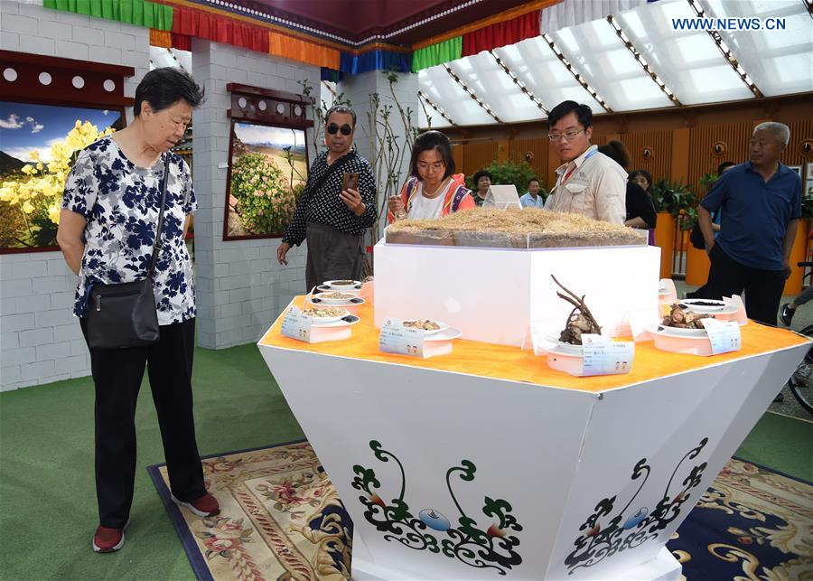 CHINA-BEIJING-HORTICULTURAL EXPO-CHINA PAVILION DAY (CN)