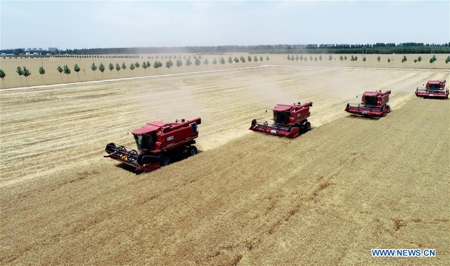 CHINA-HEBEI-NANHE-WHEAT-HARVEST (CN)