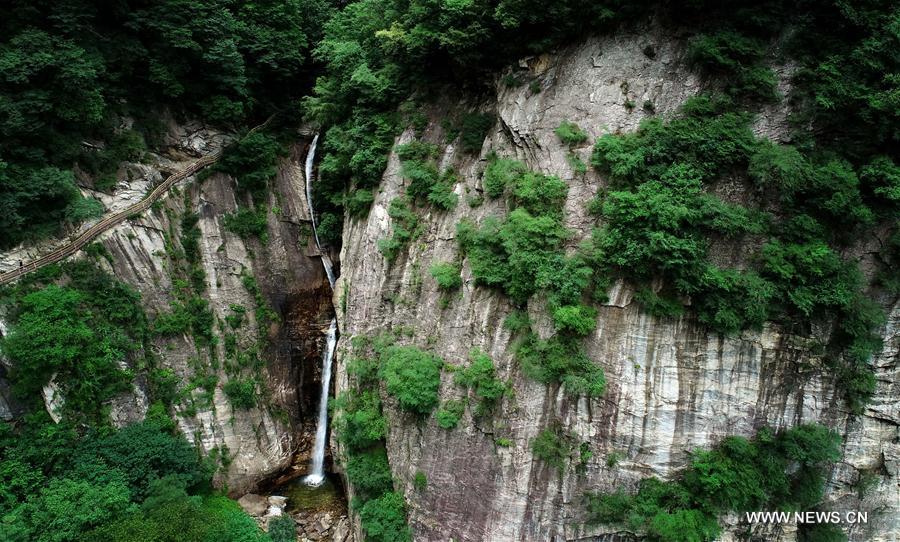 CHINA-SHAANXI-FOREST PARK-SCENERY (CN)