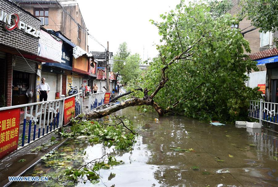 CHINA-ZHEJIANG-WENLING-TYPHOON LEKIMA (CN)