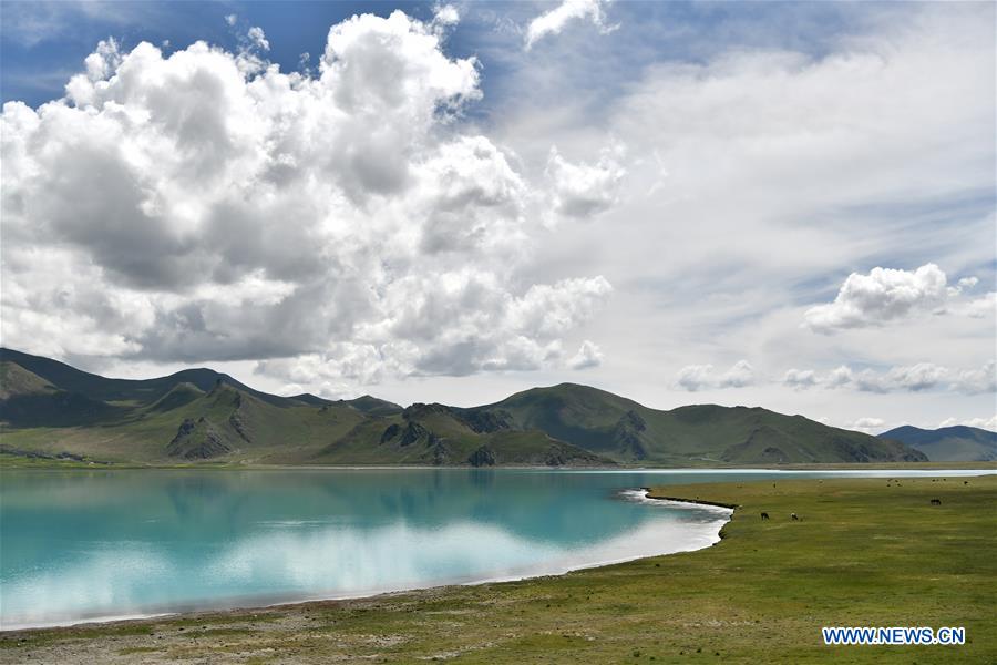 CHINA-TIBET-YAMZBOG YUMCO LAKE-SCENERY (CN)