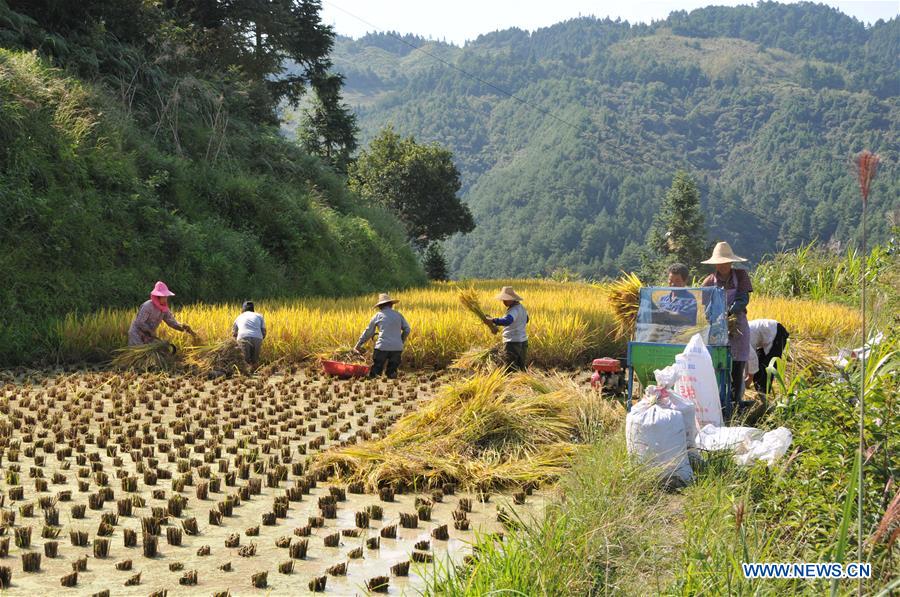 CHINA-HARVEST FESTIVAL-CELEBRATION (CN)