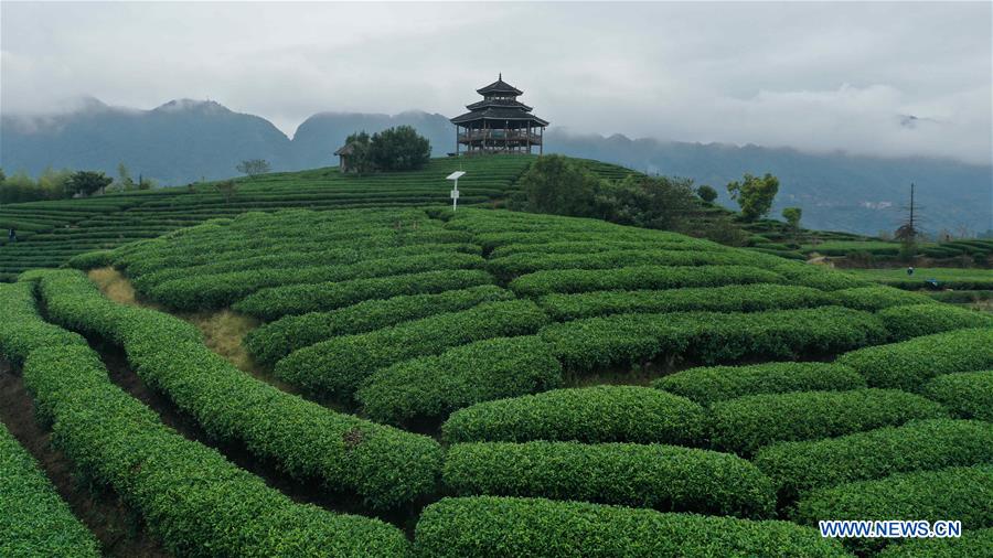 CHINA-GUANGXI-AUTUMN-AERIAL VIEW (CN)