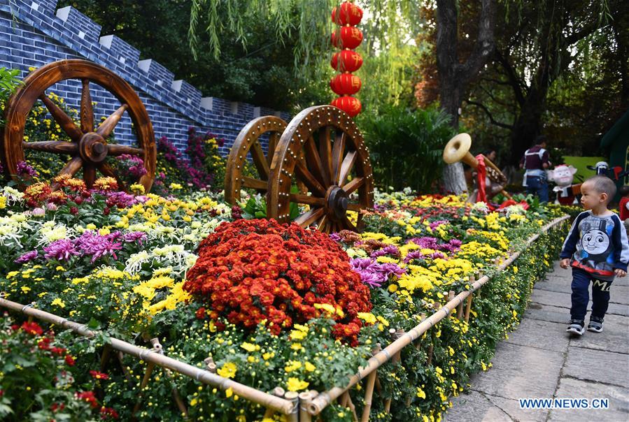 CHINA-SHANDONG-JINAN-CHRYSANTHEMUM (CN)