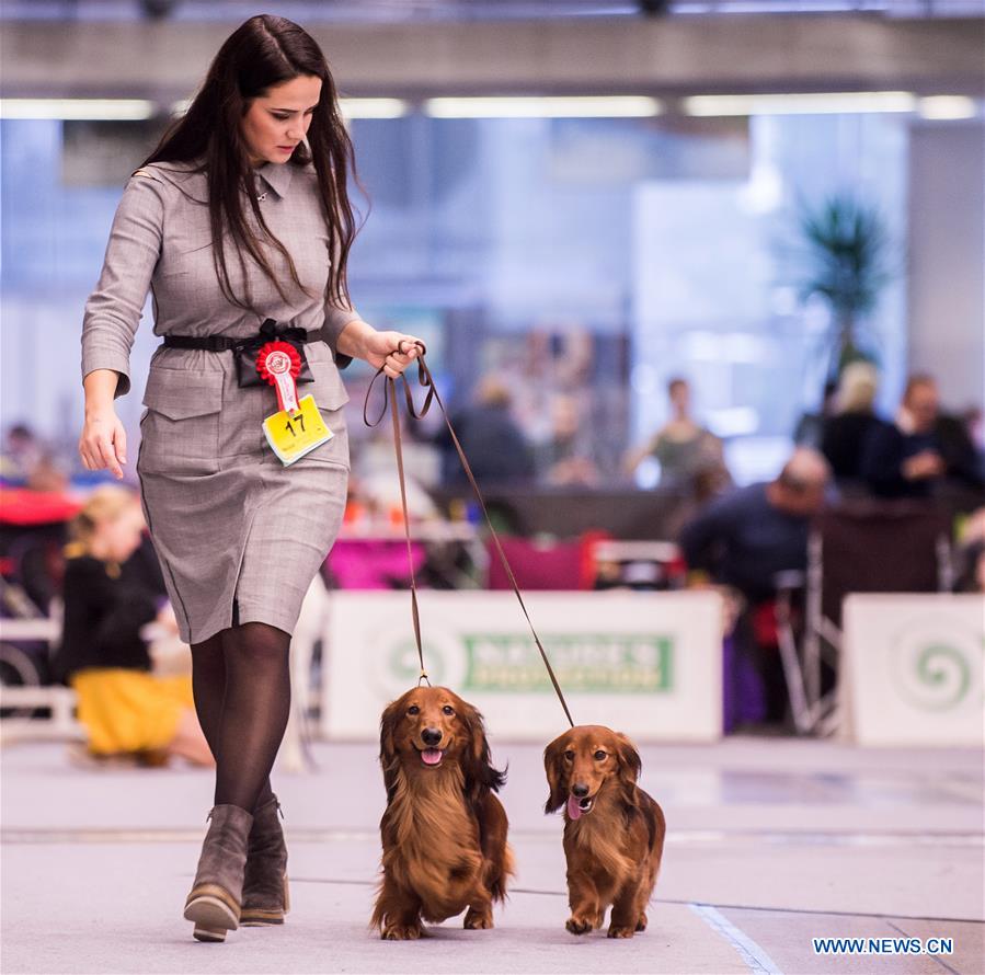 LITHUANIA-VILNIUS-DOG SHOW