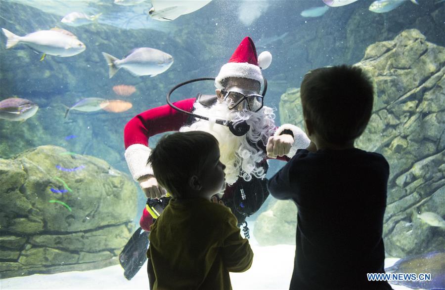 CANADA-TORONTO-SANTA CLAUS-DIVING