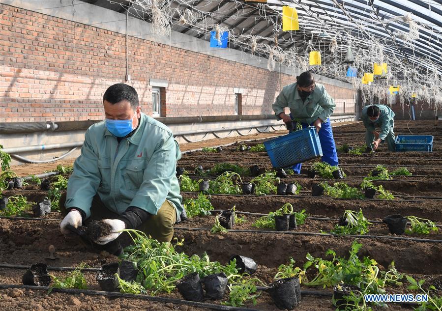 CHINA-BEIJING-NCP-AGRICULTURE(CN)