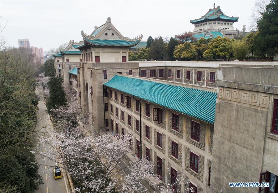 CHINA-HUBEI-WUHAN UNIVERSITY-CHERRY BLOSSOMS (CN)