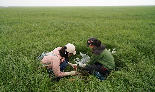 Scientific researchers promote environmental protection in China's Dongting Lake