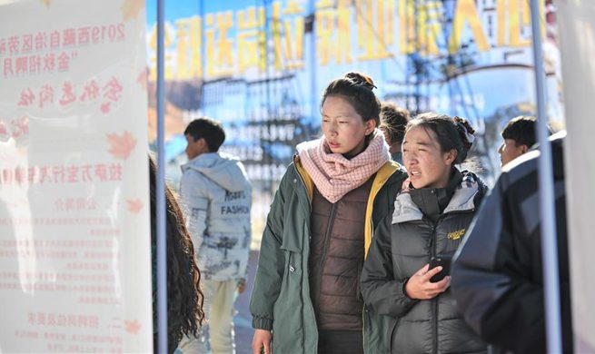 Job fair held in Lhasa, China's Tibet