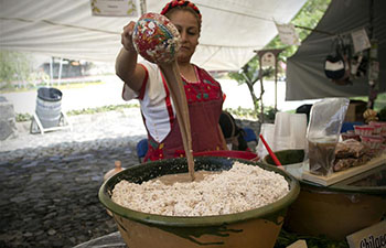 2018 Chocolate and Cocoa Artisan Festival held in Mexico City