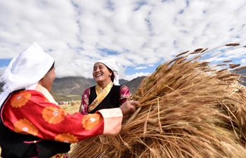 Scenery of autumn harvest across China