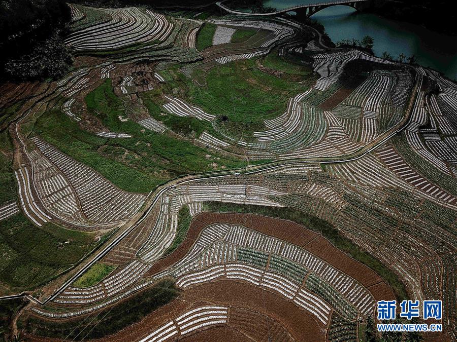 （春季美丽生态）（11）飞阅边关山田春景