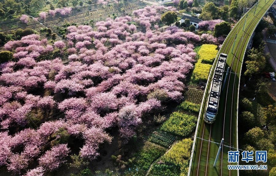 （壮阔东方潮 奋进新时代——庆祝改革开放40年）（5）美丽中华大地书写绿色传奇