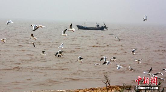 资料图：渤海湾畔。王占军 摄