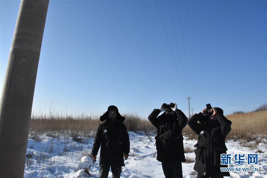 （图文互动）（2）“极地”光明卫士点亮万家小康路