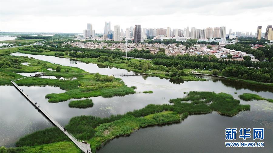 （走向我们的小康生活·图文互动）（2）水清、地绿、空气新——最北省份黑龙江绘就生态治理新画卷